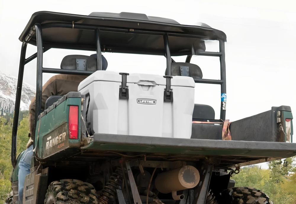 portable food cooler box